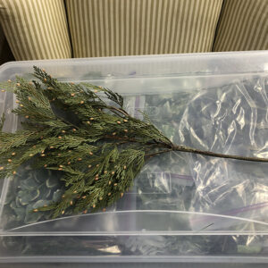 Stems PIne Branch with Red Berries