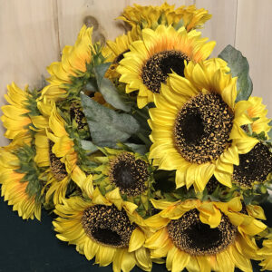 Stems - Sunflowers