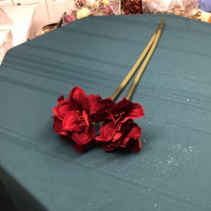 Stems Red Poinsettia